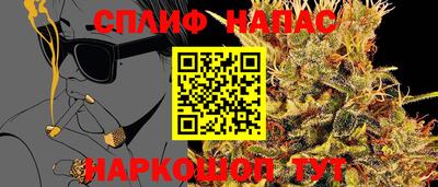 индика Кинель