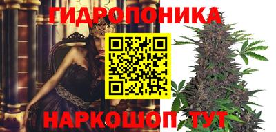 MDMA Кингисепп