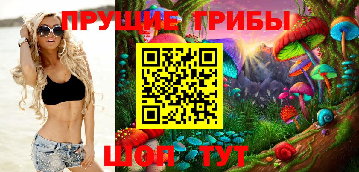 Псилоцибиновые грибы Cubensis  Вход с VPN  Лесной 