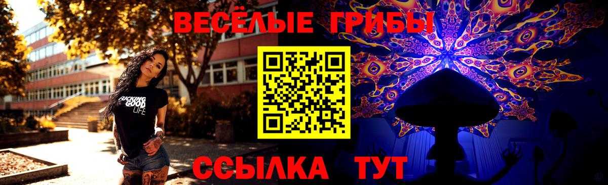 Псилоцибиновые грибы MAGIC MUSHROOMS Лесной